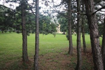 park (© Luděk Vláčil 06/2018)