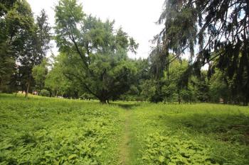 rozlehlý park (© Luděk Vláčil 06/2018)