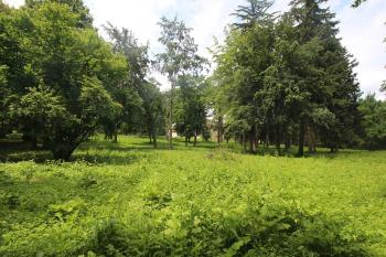 rozlehlý park (© Luděk Vláčil 06/2018)