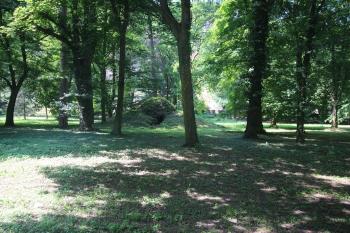 park (© Luděk Vláčil 06/2018)