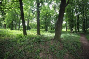 park (© Luděk Vláčil 06/2018)