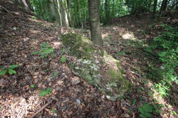 jediný fragment povaleného zdiva (© Luděk Vláčil 06/2018)
