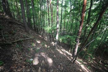 Pohled na val z hradního jádra (© Luděk Vláčil 06/2018)