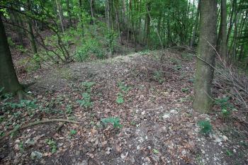 čtvercové rozšíření valu zřejmě naznačuje základy bašty (© Luděk Vláčil 06/2018)