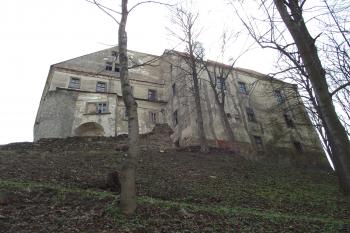  (© Michal Brůža, 04/2011)