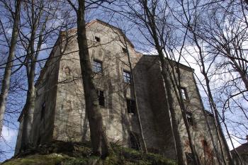  (© Michal Brůža, 04/2011)