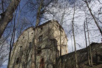  (© Michal Brůža, 04/2011)