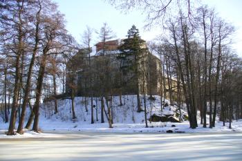 Brtnice - pohled na hrad od rybníka (© Pavel Jarý, 27.02.2010)