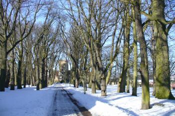 Hrad Brtnice z pohledu hlavní přístupové cesty (© Pavel Jarý, 27.02.2010)