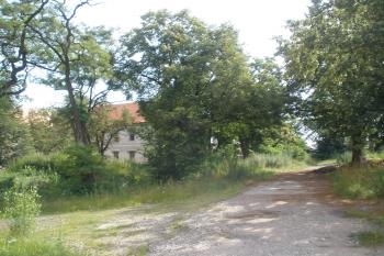  (© Jiří Suchomel, 07/2009)