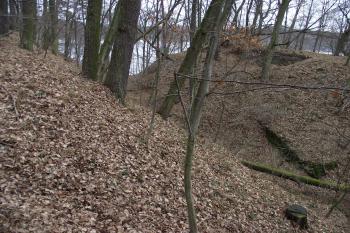  (© Michal Brůža, 01/2012)