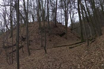  (© Michal Brůža, 01/2012)