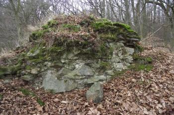  (© Michal Brůža, 01/2012)