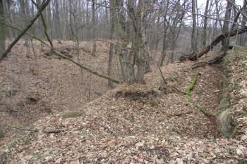  (© Michal Brůža, 01/2012)
