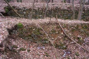 Věž ( © Roman Řezáč 03/2003)