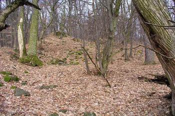 Jádro ( © Roman Řezáč 03/2003)