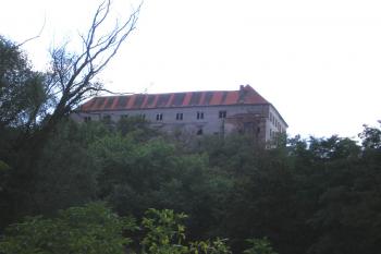  (© Milan Náplava, 08/2007)