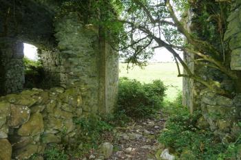 Branský průjezd. (© Pavel Semple, 07/2017)