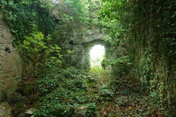 Západní místnost v prvním patře donjonu, pohled k jihu. (© Pavel Semple, 07/2017)