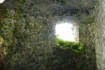 Klenutá místnost v přízemí dvouvěžového branského domu. (© Pavel Semple, 07/2017)