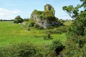 Celkový pohled na hrad od JV. (© Pavel Semple, 07/2017)