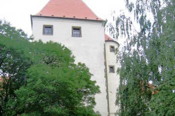 Hlucká tvrz ( © Pavel Vítek 06/2007)