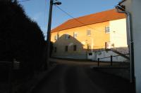 Jasenice