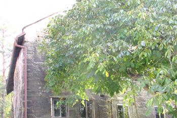 Kamenný dům v Sosnové u České Lípy ( © Pavel Vítek 10/2018)