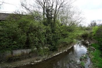 severní okraj lokality předpokládané tvrze (© Jan P. Štěpánek 04/2015)