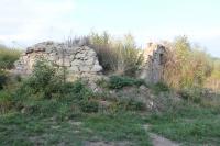 Bažantnice