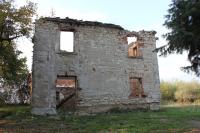 Bažantnice
