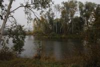 Brodské
