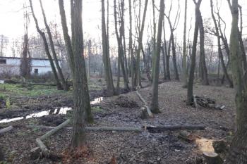  (© Prudký Martin, 11/2018)