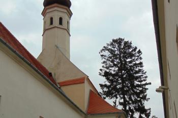 Kostel na nějž je napojeno vých. zámecké křídlo (© Dušan Dohňanský 10/2020)