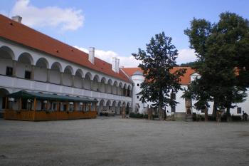  (© Milan Náplava, 08/2007)