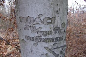  ( © Roman Řezáč 01/2007)