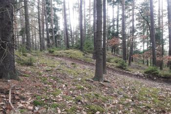  (© Prudký Martin, 12/2018)