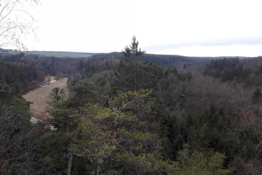 hradiště Koryta