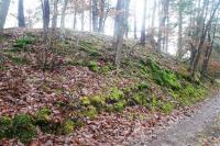 hradiště Koryta