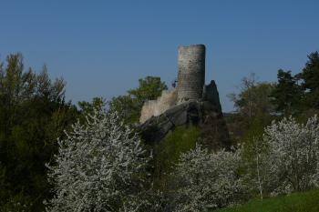 Zřícenina hradu Frýdštejn (© Vlastislav Mareček, 04/2011)
