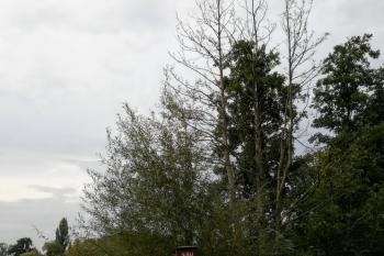 Dobrovízský potok (© Simona Kidlesová  9/2021)