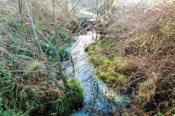 Dobrovízský potok (© Simona Kidlesová  10/2021)