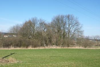  ( © Milan Caha 04/2012)