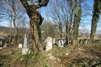  ( © Milan Caha 04/2012)