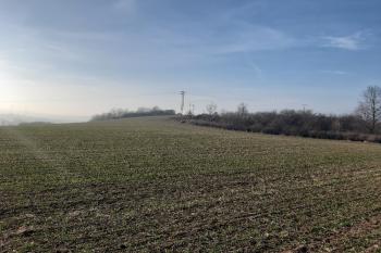  ( © Prudký Martin 02/2019)