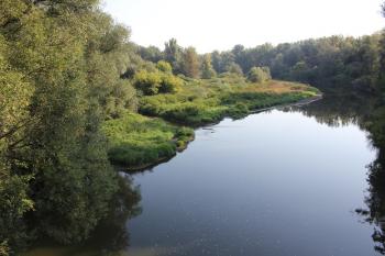 Pohled z mostu na rezervaci (© Luděk Vláčil 08/2018)