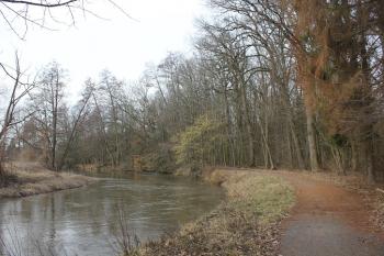 Jediná cesta procházející okrajem rezervace (© Luděk Vláčil 03/2019)