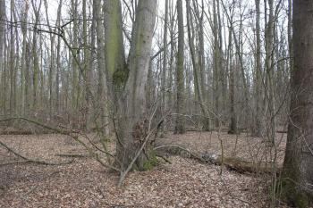  ( © Luděk Vláčil 03/2019)