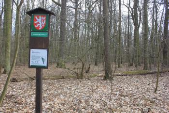  ( © Luděk Vláčil 03/2019)