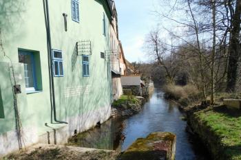 náhon ( © Milan Caha 03/2019)